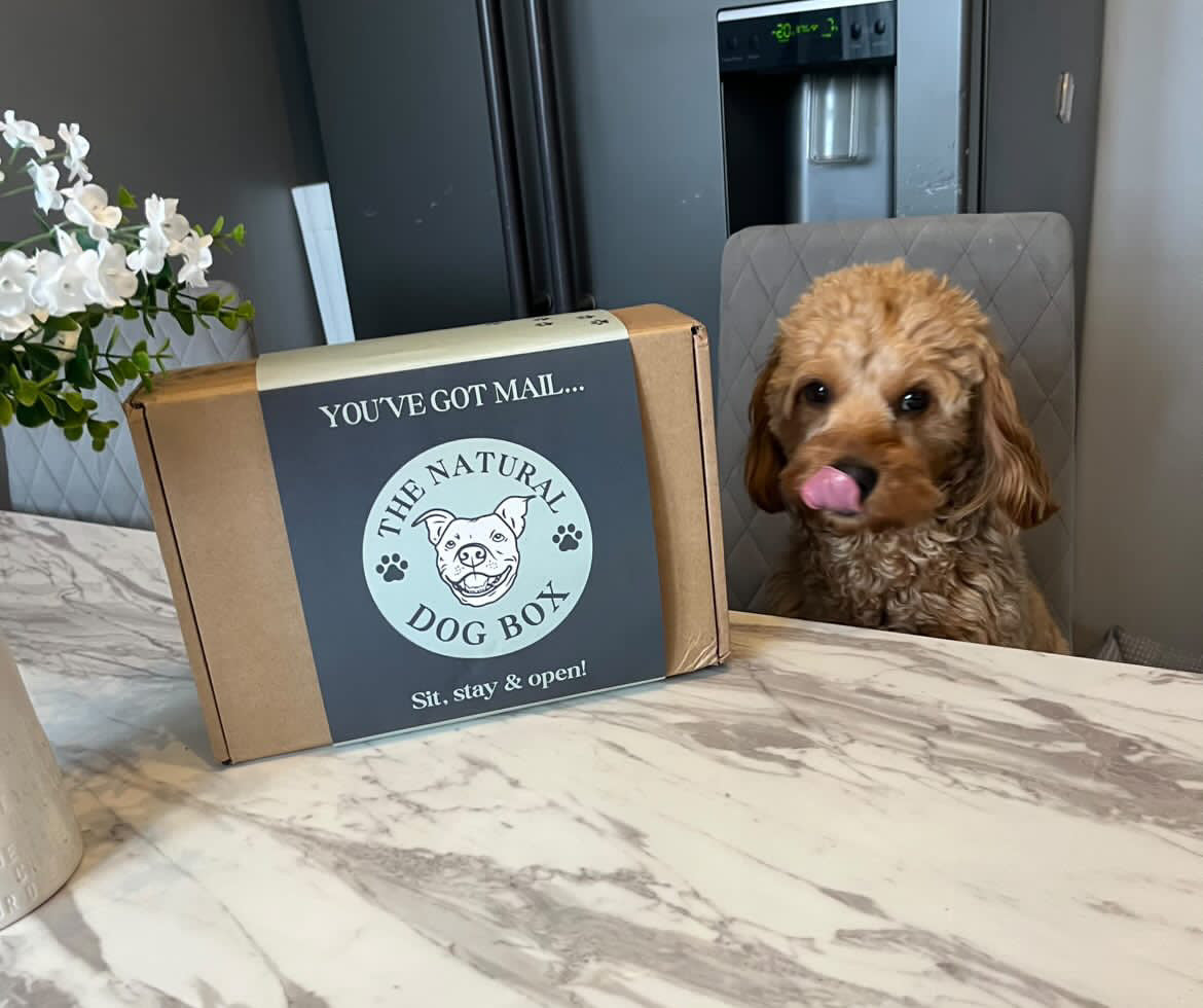 The Natural Dog Treat Box
