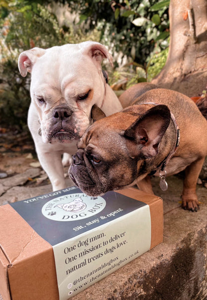 The Natural Dog Treat Box