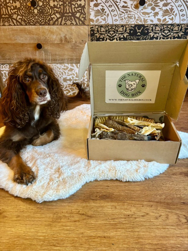 The Natural Dog Treat Box
