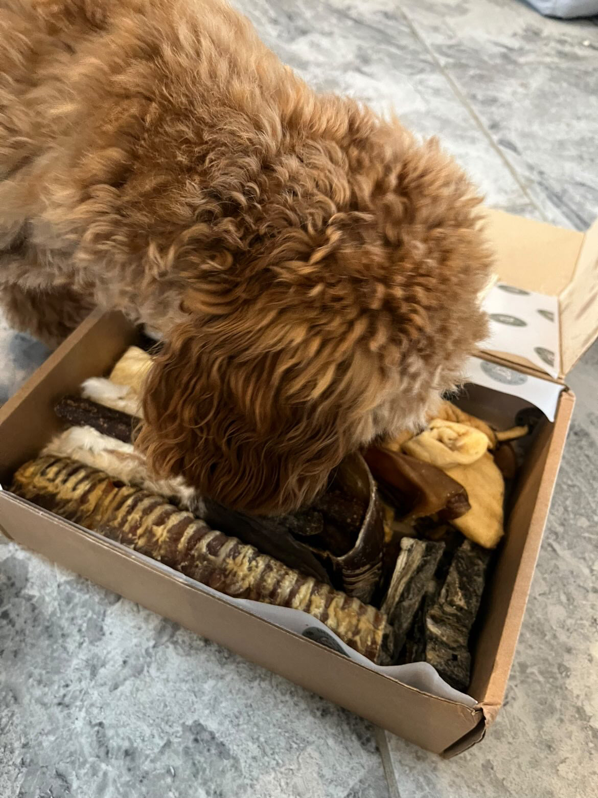 The Natural Dog Treat Box
