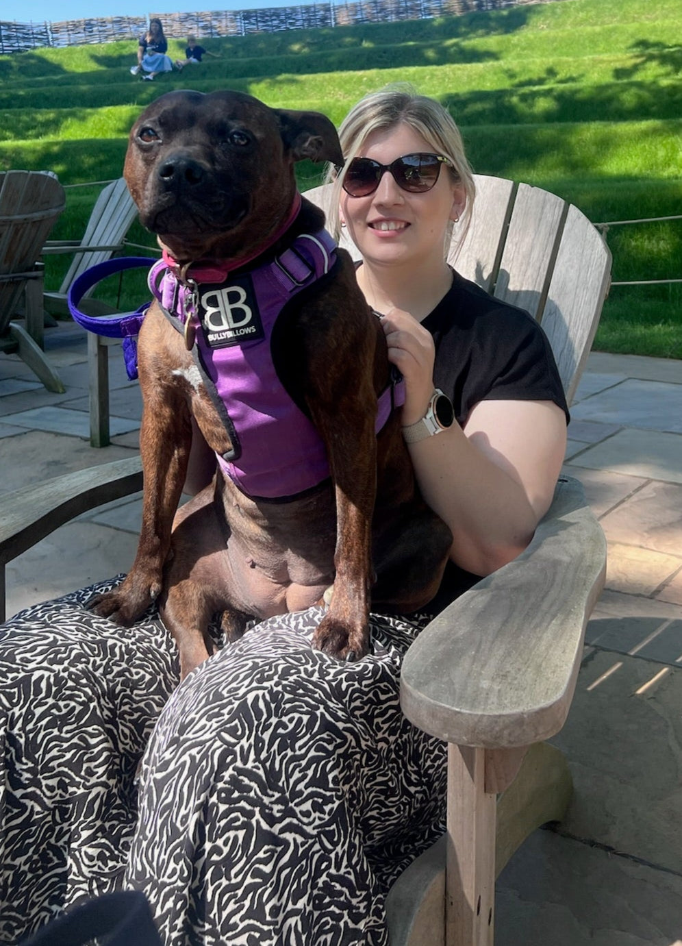 Woman sitting on a chair with a dog wearing a purple harness in an outdoor setting.