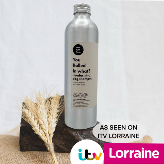 ‘You rolled in what’ with Pump Head | Deodorising Dog Shampoo | Natural 